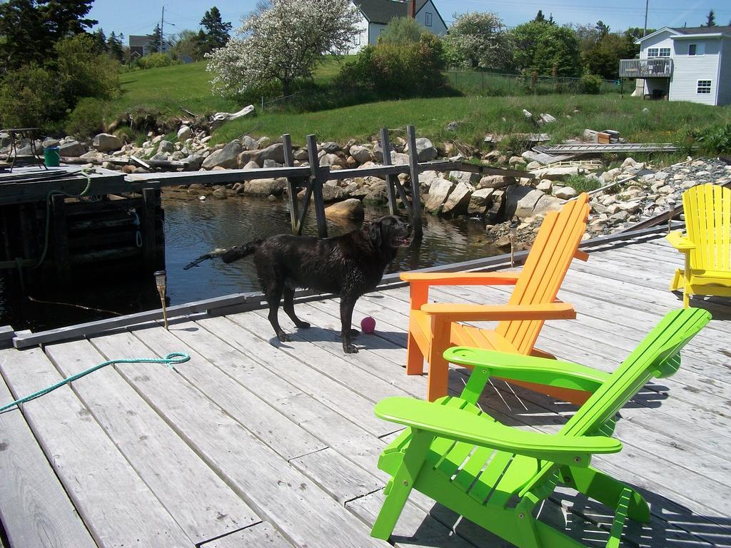 Sal'S Bed And Breakfast By The Sea Herring Cove Exterior photo